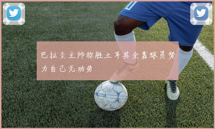 巴拉圭主帅称胜土耳其全靠球员努力自己无功劳
